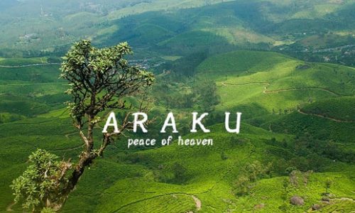 arakpack (1)